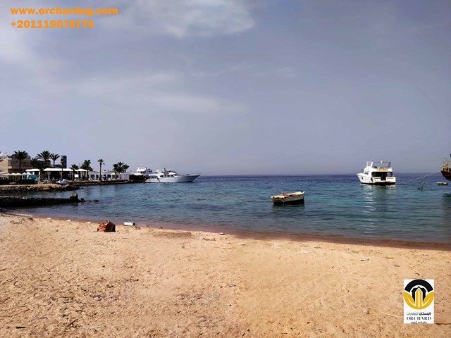 Aqua Fun Residence, Hurghada