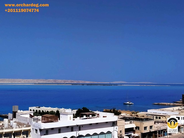 One bedroom apartment for rent Sheraton Street, Hurghada